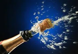 Champagne cork factory for sale