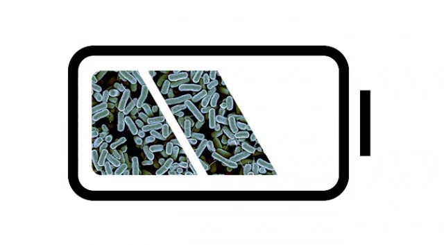Bacteria as an energy driver