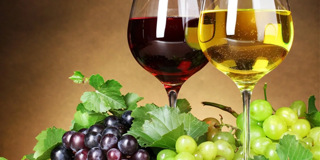 Portuguese ‘fine wine importer’ for sale