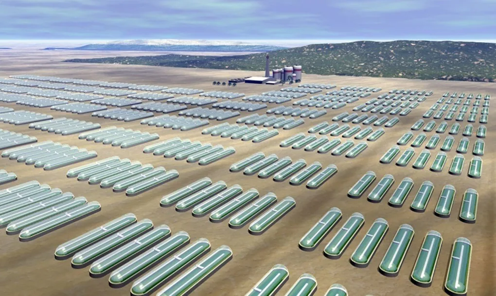 Energy like a plant uses sunlight
