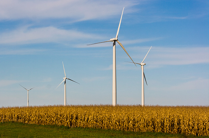 Prairie wind farm